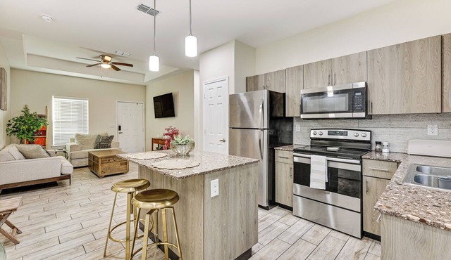 2 Mi to DHR Health: Commuter-Friendly Pharr Apt