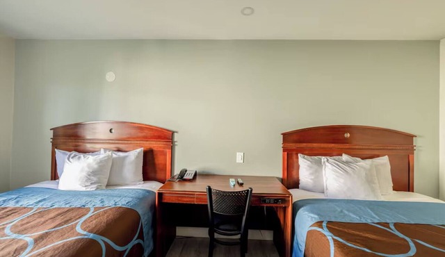 2 Queen Beds Nostalgic Room Perfect for Couples or Solo Traveler - 3 Rooms