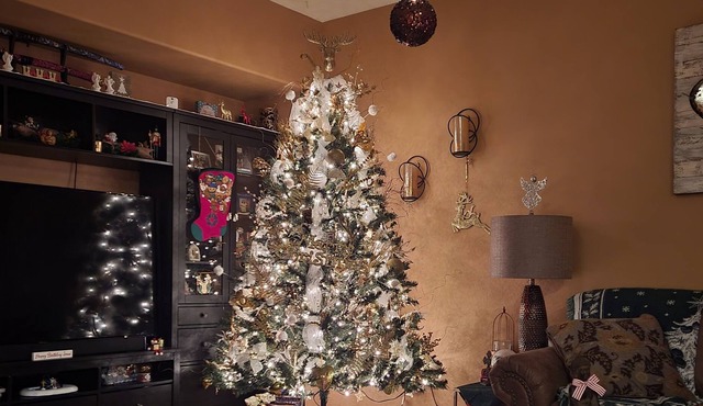 3 bdrm family home fully decorated Winter Wonderland for Christmas 23