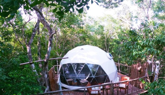 3 min walk to cenotes - Jungle Treehouse Experience -jungle glamping adventure
