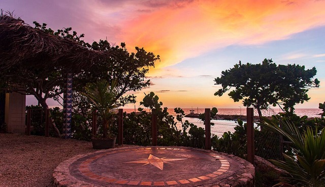 4 bedrooms in an oceanfront garden with pool and kitchenette.
