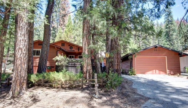 (4B) Mountain Memory at The Redwoods In Yosemite