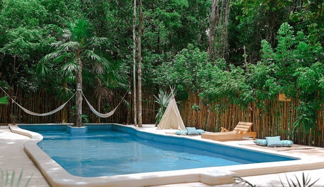 A full of love Jungle Hotel where everything is connected with nature