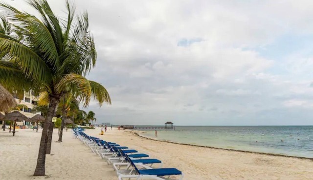 A Little Paradise - Ocean Front