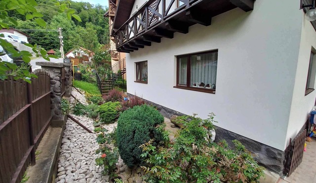 Accommodation in Sovata-Băi - peace, comfort and a view of the forest! in Sovata