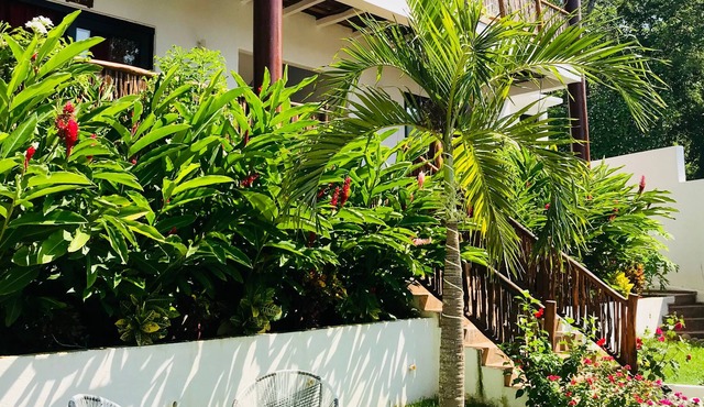 Alfa Resort Troncones