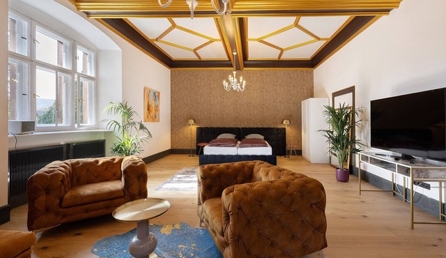 Apartment 'Eremitage' with Shared Pool, Shared Terrace and Wi-Fi in Vitzenburg