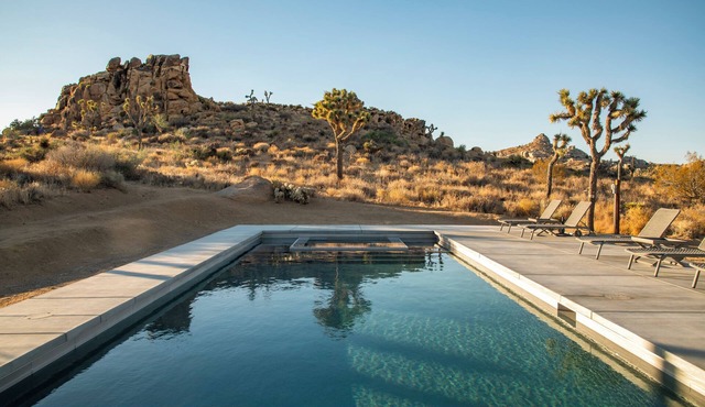 Arch Digest Featured - Salt Pool, Sauna, Cold Plunge
