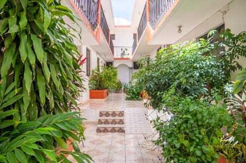 Arena Surf Hotel, Puerto Escondido