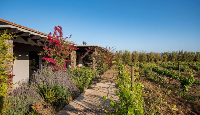 Atika Retreat - Vinyard Villa