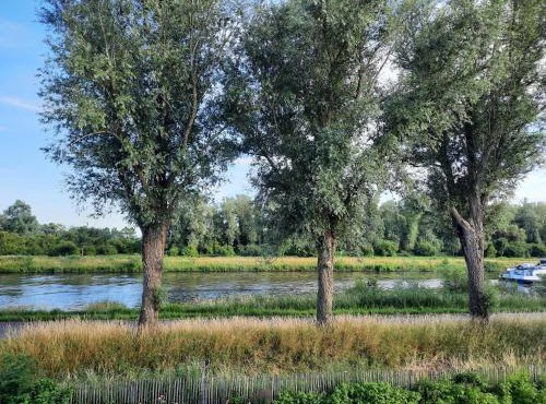 B&B Scheldekant in Oudenaarde