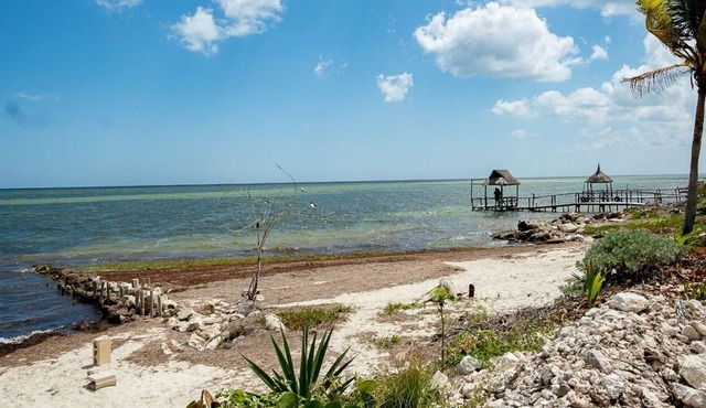 Beach house with beautiful view of the mangrove