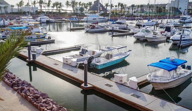Beach, Pool, Golf, Fishing and Sea-Life Adventures!