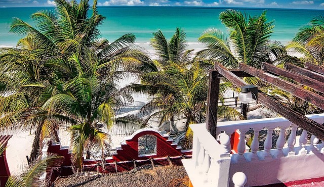 Beachfront Palapa In El Cuyo, Best Views