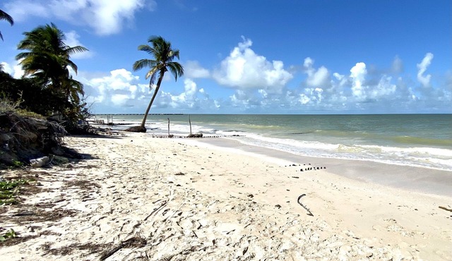 Beachside Bliss in Chuburna: Modern, Pool & Local Culture-Your Perfect Escape!