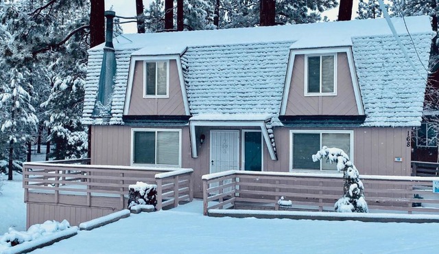 Bear Haus