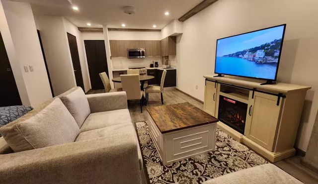 Beautiful Downtown TJ Loft
