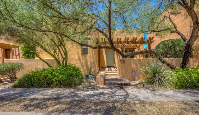 Beautiful Green Rincon Foothills Home