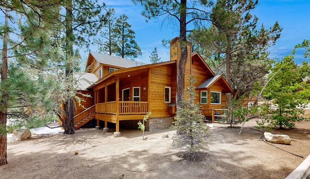 Big Bear White Skies #674