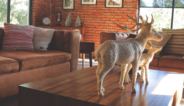 BIMBA country house, heart of the forest, Huasca