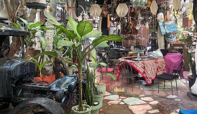 🏡 BNB Yeneka - Your Artistic Refuge in the Heart of La Paz
