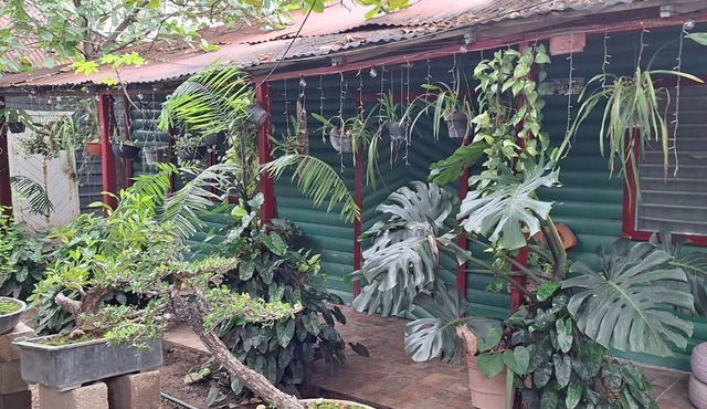 Bonsai House