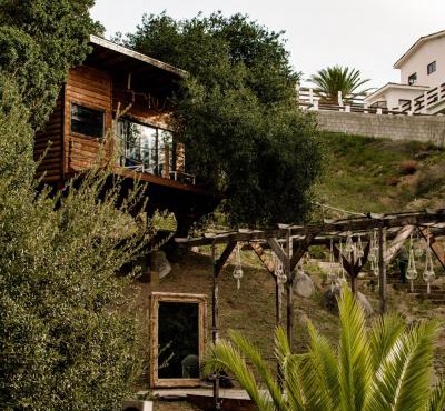 Boskenvid Hotel - Romantic Treehouses & Skypool