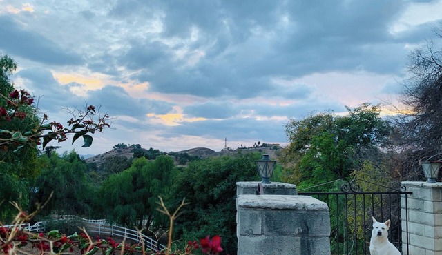 Breathtaking Views Near Hollywood Studios