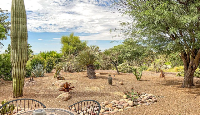Bright home in Sun City with large patio & on-site golf & swimming!