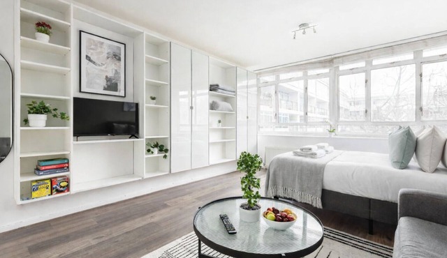 Bright & Spacious Studio Flat in Central London (Zone 1), Pimlico
