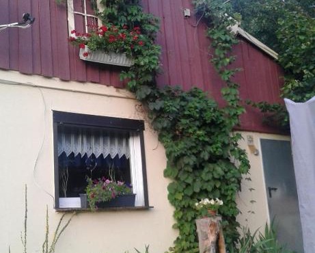 Bubi Niedlich in Thale
