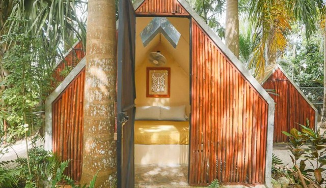 Bufo Alvarius Sanctuary