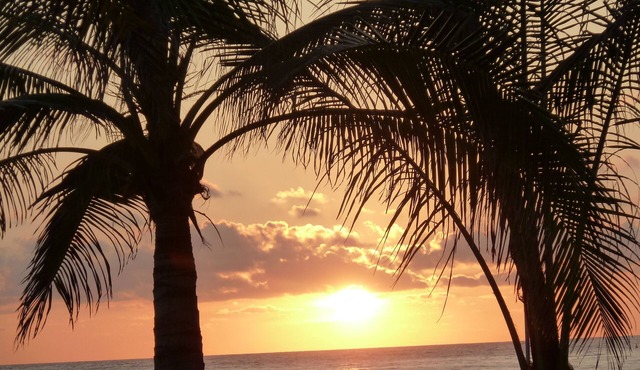 Bvg Marina Luxury Condo Ocean View - a Sight to Be Seen