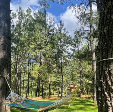 Cabaña Amaia en Tapalpa Jalisco