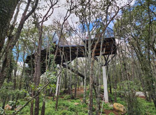 Cabaña Austral, Punta del Bosque