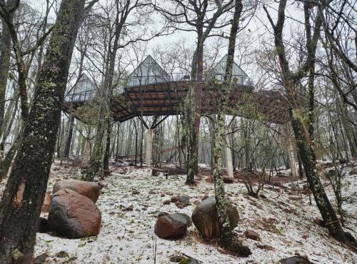 Cabaña Boreal, Punta del Bosque