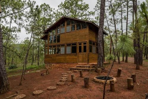 Cabaña Jabalí para 7 personas en el bosque de Mascota