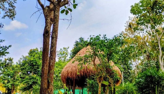 Cabañas la orquídea