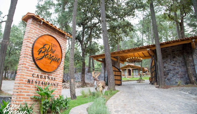 Cabañas La Vid Del Bosque