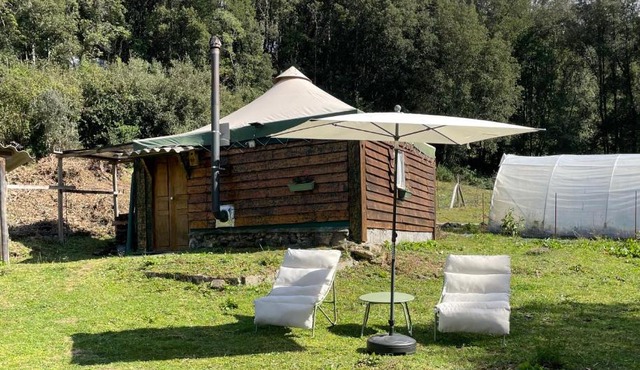 Cabane 2