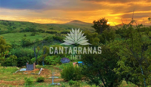 Cantarranas Ranch