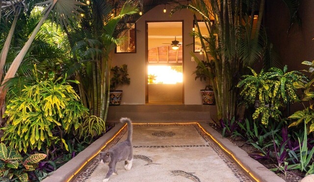 Casa De Helen - Laid Back Luxury in Troncones, Mexico