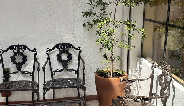 Casa Juárez en Tlaquepaque ¡a tu Familia le Encantará!