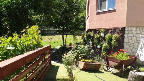 Casa Lorena in Merei
