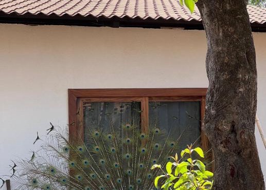 Casa Magdalena