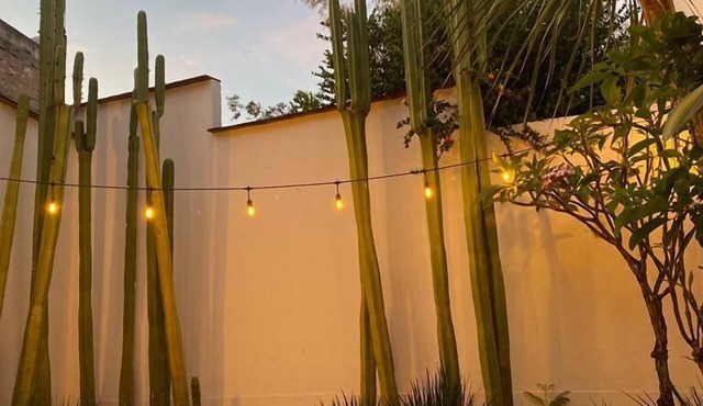 Casa Mayo