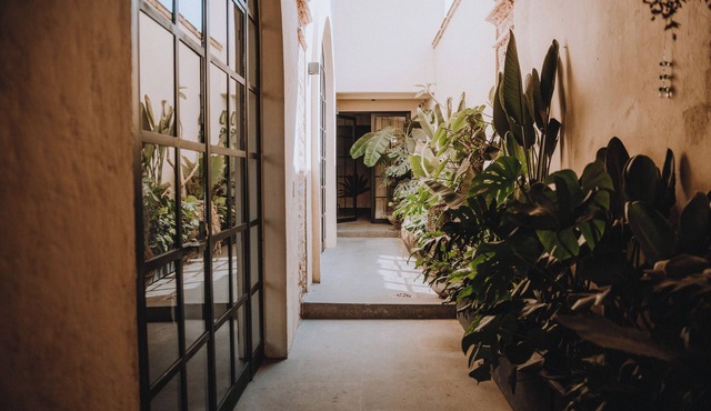 Casa Realm en el Corazon de Queretaro, un Lugar con Estilo y Confort