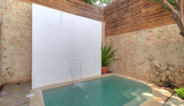Casa Sweet Pea, Bright and Stylish in Centro