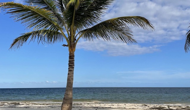 Casita KinHa Garden Suite - Oceanfront