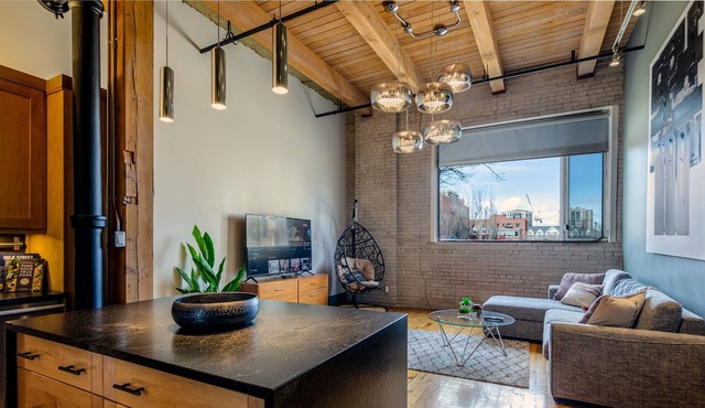 Central District J.D. Loft w/ AC, UG Parking in Edmonton